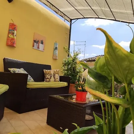 Guest house 