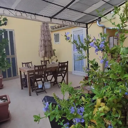 Guest house 